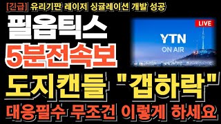 [필옵틱스 주가전망][긴급] 도지캔들 매도폭탄 터졌다 \