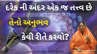 દરેક ની અંદર એક જ તત્ત્વ છે, તેનો અનુભવ કેવી રીતે કરવો? | Manav Dharam Gujarati