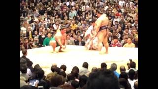 2017年3月場所。稀勢の里対嘉風。