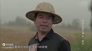 四川人吃饭讲究麻辣 一碗豆花都能做的鲜美无比！《舌尖上的中国2》| China Zone - 纪录片