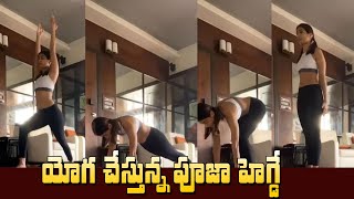 Pooja Actress Pooja Hegde Doing Yoga At Home | యోగ చేస్తున్న పూజ హెగ్డే | IG Telugu