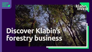 Klabin’s forests’ differential advantages | Klabin Invest