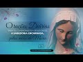 Orações Diárias | Consagração Total à Virgem Maria