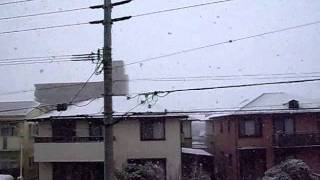 2012年2月2日　舞い落ちる雪