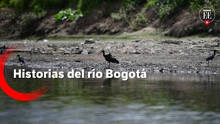 Aguas de vida: historias del río Bogotá | El Espectador