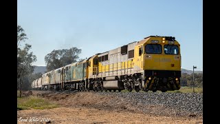 Trackside: GML10, 8044, 8037 and 44202 on the Avoca line with QUBE's 7762V up Birchip grain- 28/9/20