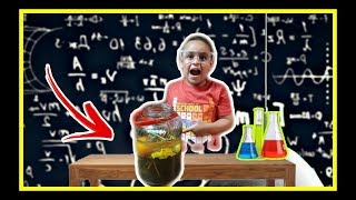 Sink or Float Density Tower Science Experiments for kids