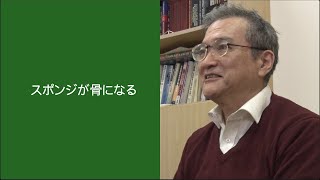 医工学研究科教員紹介：骨再生医工学分野・鎌倉慎治教授