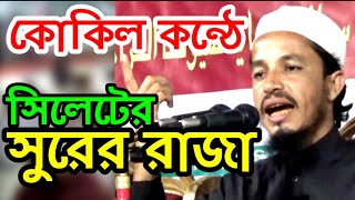 Sylheti Waz | কোকিল কন্ঠে সিলেটের সুরের রাজা | Maulana Muhibur Rahman Shalla