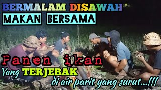 PETUALANG DEWATA |BUSHCRAFT |CAMPING DISAWAH MAKAN BERSAMA |BERBURU IKAN DI AIR PARIT YANG SURUT!!!