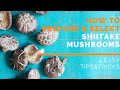 How to Prepare and Select Shiitake Mushrooms How to Prepare and Select Shiitake Mushrooms