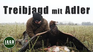 Treibjagd mit bunter Beute im Winter | JagdMomente