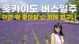 나홀로 떠나도 좋은 일본 소도시 가성비 버스 여행ㅣ🇯🇵일본 2