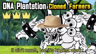 The Battle Cats - UL35: DNA Plantation (Cloned Farmers) 3 Star