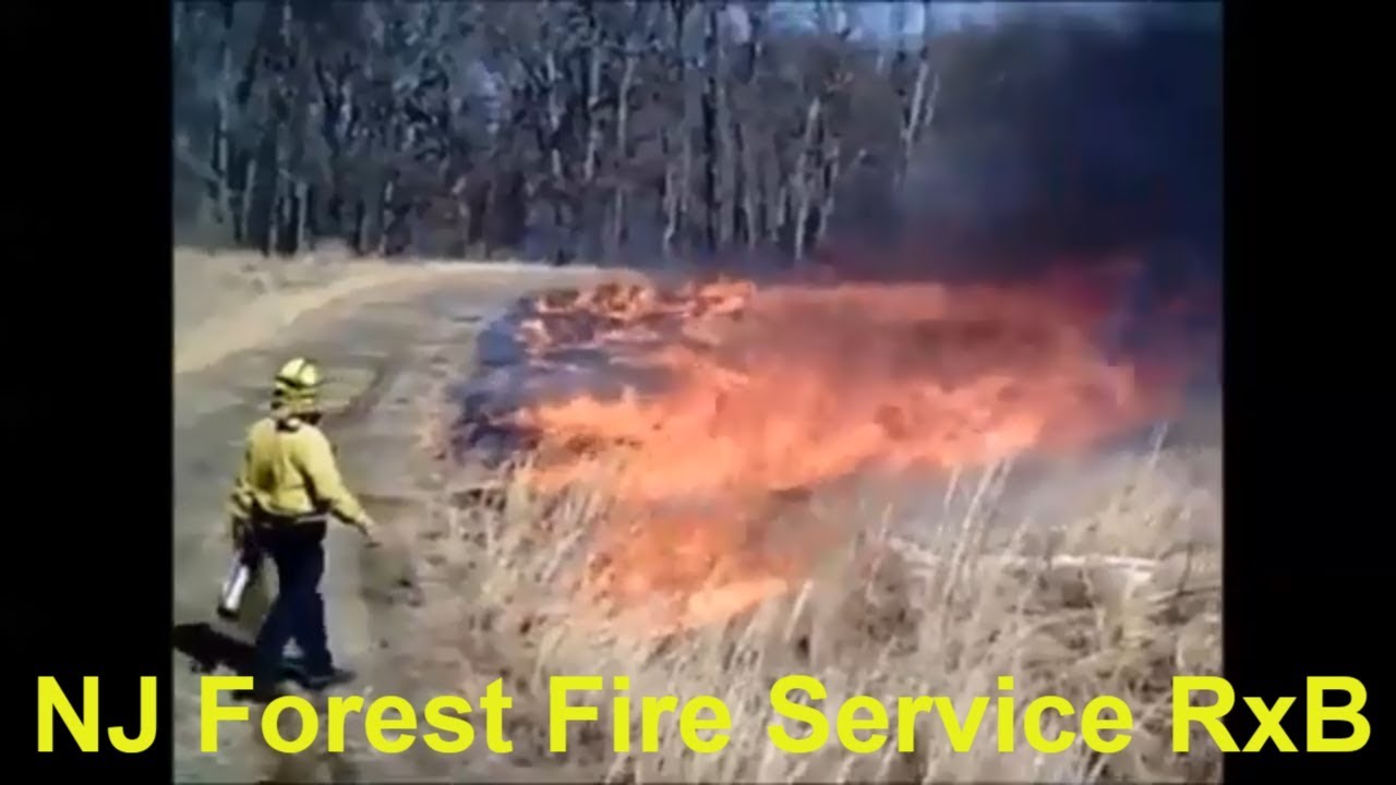 NJ Forest Fire Service B10 Prescribed Burning Clips (RxB) Lost Footage ...