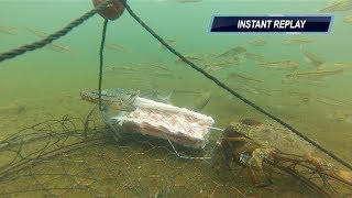 CRABBING MANDURAH WA - GoPro CrabNET - Super Clear HD Vision