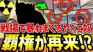 Bizonが嫌ならコレ使えば解決よ。戦場で暴れまくる『ヤベェ強SMG』が再び覇権に返り咲こうとしてる件についてww【codモバイル】