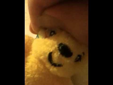 Does pudsey have a eye under his eye patch Does pudsey have a eye under his eye patch