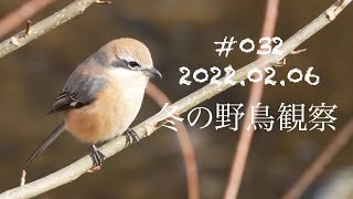 032.冬の野鳥観察