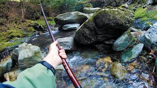 【渓流釣り】残りアマゴ狙いとメスティンご飯