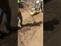 wooeye compacting soil working site works compaction shortvideo shorts short