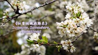 《似曾相識燕歸來 ☆ Someone, Somewhere, Sometimes》