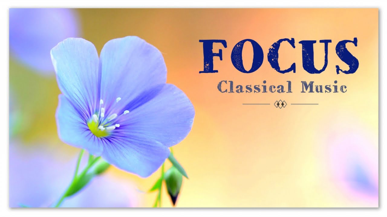 Focus Classical Music For Studying And Concentration Youtube Focus Classical Music For Studying And Concentration Youtube