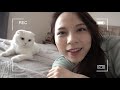 weekly vlog ep.43ㅣ韓國版台式雞排 妻子們週六夜晚 超好吃早午餐🍳 oopsannienini