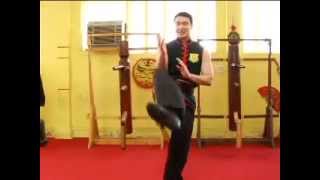 Wing Chun Chain Kicks - Tutorial by Sifu Tei
