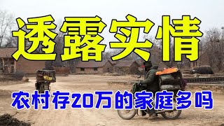 河南农村有20万存款的家庭多吗？“一针见血”透露实情！句句中肯