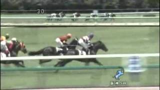 2011年【阪神４日】サラ系２歳新馬【芝1400m】　ニンジャ