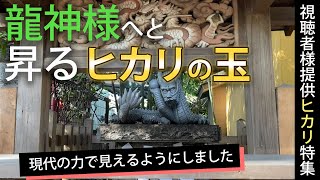 神社仏閣て現れたヒカリ！神か？龍神か？視聴者様提供の写真を一挙公開