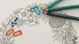 Prismacolor Tutorial - Blumen blenden, Technik und Farbkombination in Flourish