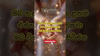 #විශ්ව_ශක්තිය #positiveaffirmations #sinhalaquotes #lawofattraction #lawofassumption