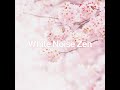 white noise wind 80 500