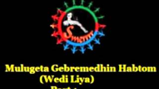 Mulugeta Gebremedhin Habtom (Wedi Liya) - Eye Witness Account On PFDJ Crimes - Part 1