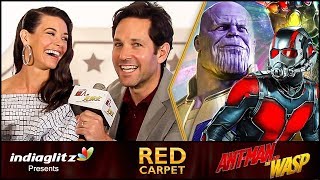 Where was ANT-MAN During Infinity War ? | Paul Rudd, Evangeline Lilly | Red Carpet