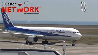 🇯🇵 Best Japanese Airline? ANA or JAL? | El Castor Network™