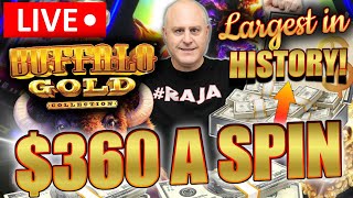 THE LARGEST BUFFALO GOLD SLOT PLAY IN HISTORY 🔴 HIGH LIMIT MAX BET $360 SPINS!