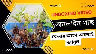 অনলাইন নার্সারী থেকে গাছ কিনে ঠকলাম না তো ?