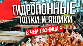 Лотки для гидропоники. Ящики для гидропоники. В чем разница?