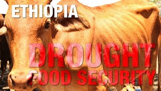 Ethiopia: Drought and food insecurity