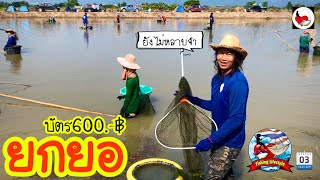 ยกยอ หนองเหมา ►Fishing lifestyle Ep.433