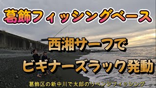 【2023年9月24日】朝まづめに以前クエを釣った、西湘サーフにカマスとクエ狙いで釣行、夕まずめは近所の新中川に、キビレ、セイゴ狙いで釣行