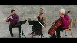 J. Haydn: Londoner trio 1, Hob.IV:1: I. Allegro moderato