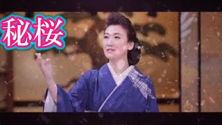 【　秘桜　】　市川由紀乃　/　Cover　まさか…本気じゃないですね……