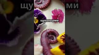 Странные сладости 🍦🍧🤢 #факты #знания