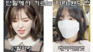 (웬디컷)단발에서 롱헤어 갈때 추천해주세요/웬디컷/단발머리/단발레이어/단발레이어드컷/중단발머리/중단발레이어드컷/나는미용사다/샤밍컷