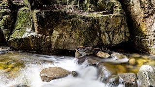 Cypress Falls - West Vancouver