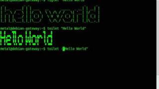 BASH lesson tutorial - Toilet Text